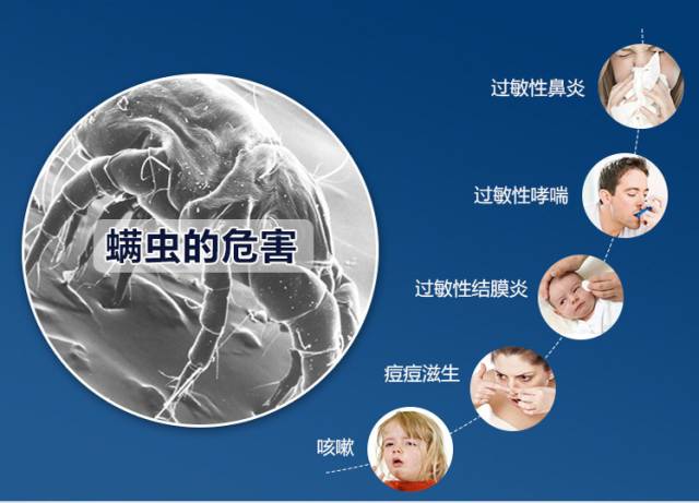 螨蟲(chóng)的危害